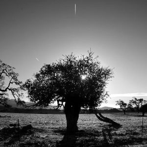 Meet your Posher, Cesar